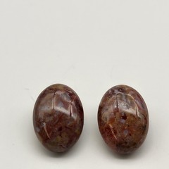 Beautiful vintage petrified wood natural stone clip earrings
