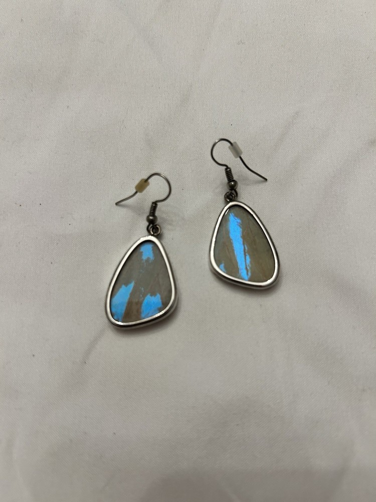 Blue Morpho Butterfly Wing And Silver Earrings