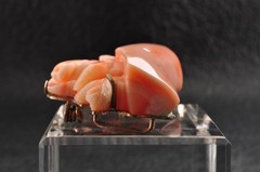 Pink coral OBIDOME brooch “Cherry blossom and rose” Certificate, (47mm 120.0ct)