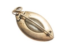 ANTIQUE GEORGIAN 15K SEPIA MINIATURE HAIR MOURNING PIN PENDANT c1790 MAIDEN DOG