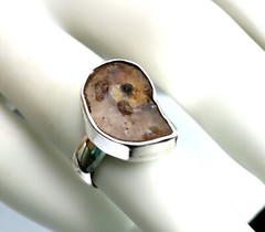 Excellent 450 mil years old Natural Ammonite Fossil .925 Sterling Silver Ring #6