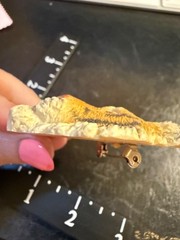 Vintage Tiger Brooch Pin Resin 1990 Detailed Animal Figural Africa Safari