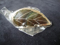 Vintage Leaf w/ Gold Foil Edging Gold Tone Scarf Clip