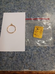 14K Gold Filled Bezel coin edge for Susan B. Anthony or Sacagawea
