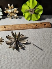 FLOwER PoWeR Pin Lot PLuS One Pair EaRiNgS!