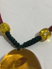 Reconstituted Amber Fossil Insect Pendant Necklace Adjustable Paracord