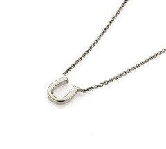 Tiffany & Co. Horseshoe Diamond 18k White Gold Pendant Necklace 16″