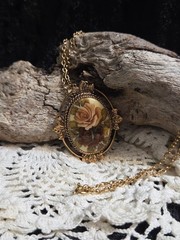 Vtg Sarah Coventry 1977 Rose Marie Cameo Rose Pendant Goldtone 23” Necklace P45