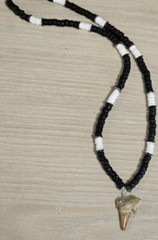 VINTAGE FOSSIL SHARK TOOTH WOOD PUKA SHELL BEADS CHOKER NECKLACE