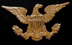 American Eagle XL / Ornate Vintage Brass Stamping / 1 Piece