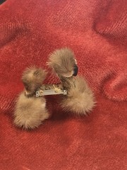 Vintage Mink Fur Poodle Dog Brooch Pin Rhinestones 1930s 50s Jewelry Estate EXC