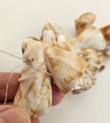 Strand of 20 – Vintage Gorgeous Conical Natural Shell Pendants – 1″ – 1 1/2″