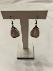 Blue Morpho Butterfly Wing And Silver Earrings