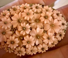 VTG Rare Miriam Haskell Unsigned Wired Gold Tone Celluloid Flowers Brooch Estate