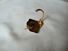 VTG HANDMADE NATURAL LACQUERED SEASHELL GOLD PLATED HINGED DRESS/SCARF CLIP