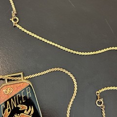 Vintage Cancer Zodiac Enamel Pendant Necklace Double Sided Astrology Crab 27”