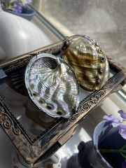 Vintage Iridescent abalone sea shell 2 inch earrings & Smal Pendant