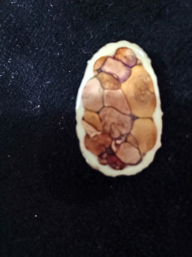 Wood Inlay Oval Brooch 70s Era