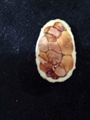 Wood Inlay Oval Brooch 70s Era