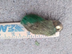 Vintage Rabbit Foot Good Luck Charm USA Green Marked CHARM USA