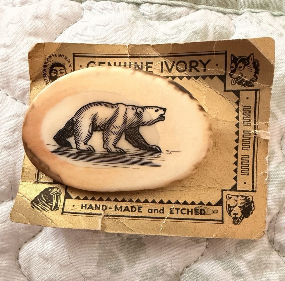 Handmade Etched Ivory Oval Polar Bear Brooch Pin Signed, Unisex Adults
