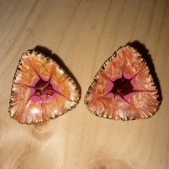 Vintage Triangular Post Back Statement Earrings “Starburst” Red and Pink