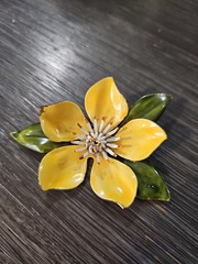 Vintage Brooch 5 Leaf Bloom – No Brand