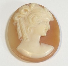 Vintage Shell Cameo 18mm X 23mm