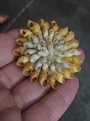 Vintage Brooch Pin Lot Of 10 Mixed Materials Unique