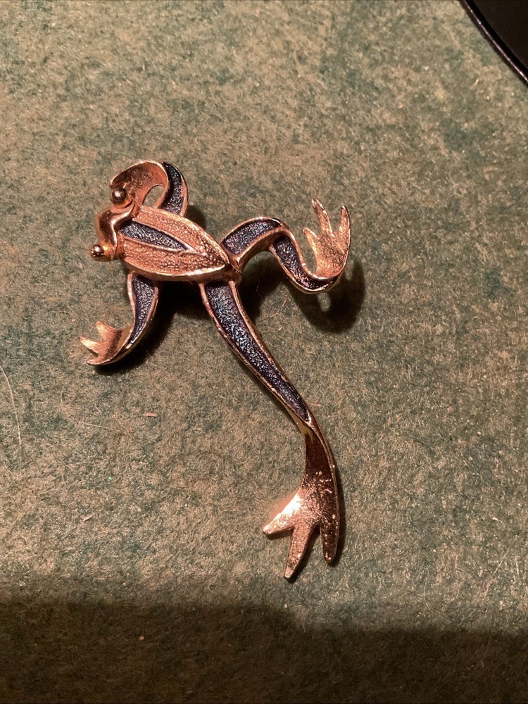 Frog Pin Gerry