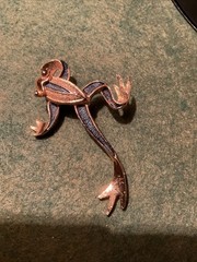 Frog Pin Gerry