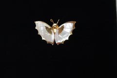 Women’s Vintage Butterfly / Moth Carved Mother Of Pearl Shell Gold Tone Brooch