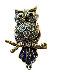 Rhinestone Owl Brooch Pin: Bird Costume Jewelry