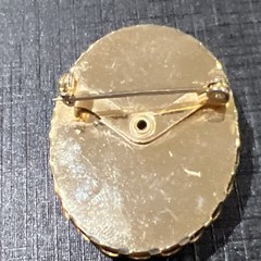 Vintage Cameo Brooch 1.5 In