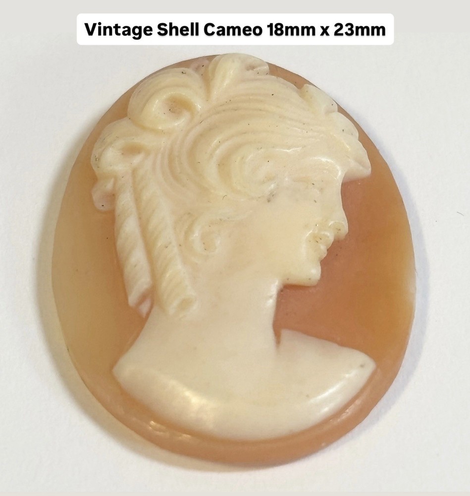 Vintage Shell Cameo 18mm X 23mm