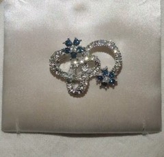 Vintage Blue/White Rhinestone Flower Brooch and Earrings