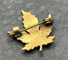 Vintage Maple Leaf Enamel Small Lapel Pin Multicolor Gold Tone C Clasp Canada