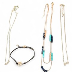 Lot Of Fossil Signed Rose Gold Tone Necklaces And Bracelet Bike Fox Feather J150