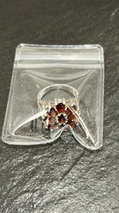 Vintage 925 Sterling Silver Red Garnet Flower Ring Size 7