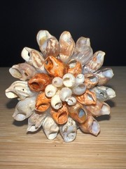 Seashell Small Brooch Orange & Beige Boho Beach Artsy