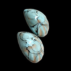 Chunky Ocean Blue Boho Coastal Sea Shells Statement Everyday Earrings 1.25″