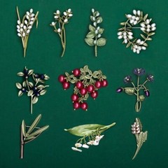 Women Elegant Enamel Pearl Brooches Pins Vintage Plant Series Badges Corsage