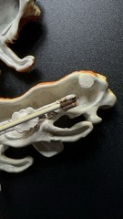 Lind Gal Lion & Tiger Brooches Lot Of 2 Orange Stripes Enamel Figural Pins Vtg