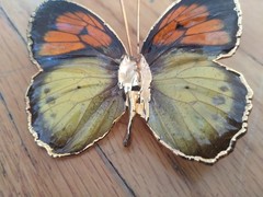 Vintage Butterfly Brooch 2 Inches Yellow Orange Gold Dipped Edging