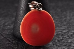 Japan vintage Coral Carved 5 items Pendant (66.0ct) Certificate Japanese motif.