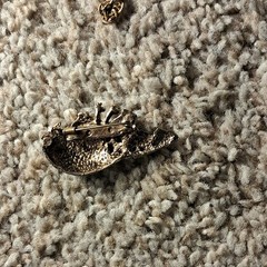 lot of pin, belt buckel and watches