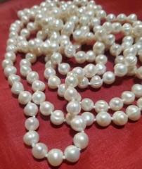 Vtg 64in Continuous Freshwater Pearl Necklace White Rope Strand Knotted 107g