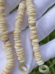 Vintage Hawaiian Puka Shell Bead Necklace 17.75 Inch Graduated up to 8.2mm