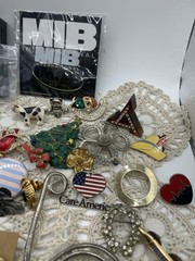 Huge Lot Of Pins, Costume Jewelry , Earrings And One Keychain