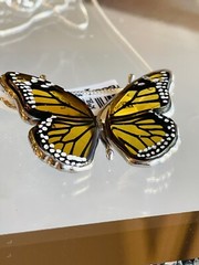 Butterfly Genuine Baltic Amber Necklace Vintage Egg Yolk Butterscotch Polish 老琥珀